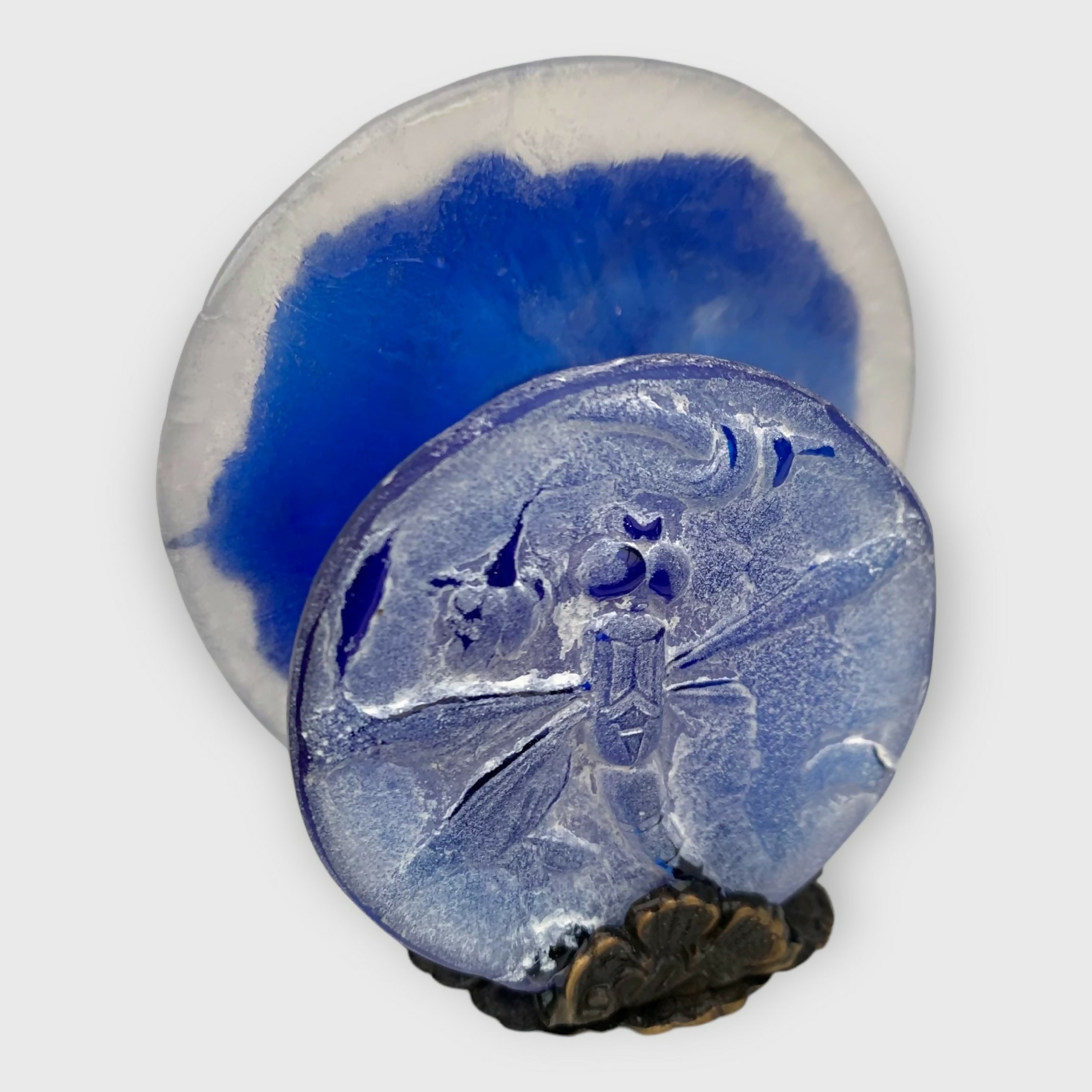 porte carte bleu, libellule art décoratif, cadeau decoration bleu, collection insecte, article de bureau, cadeau pour homme, piece unique createur, made in France | EMPREINTES Paris