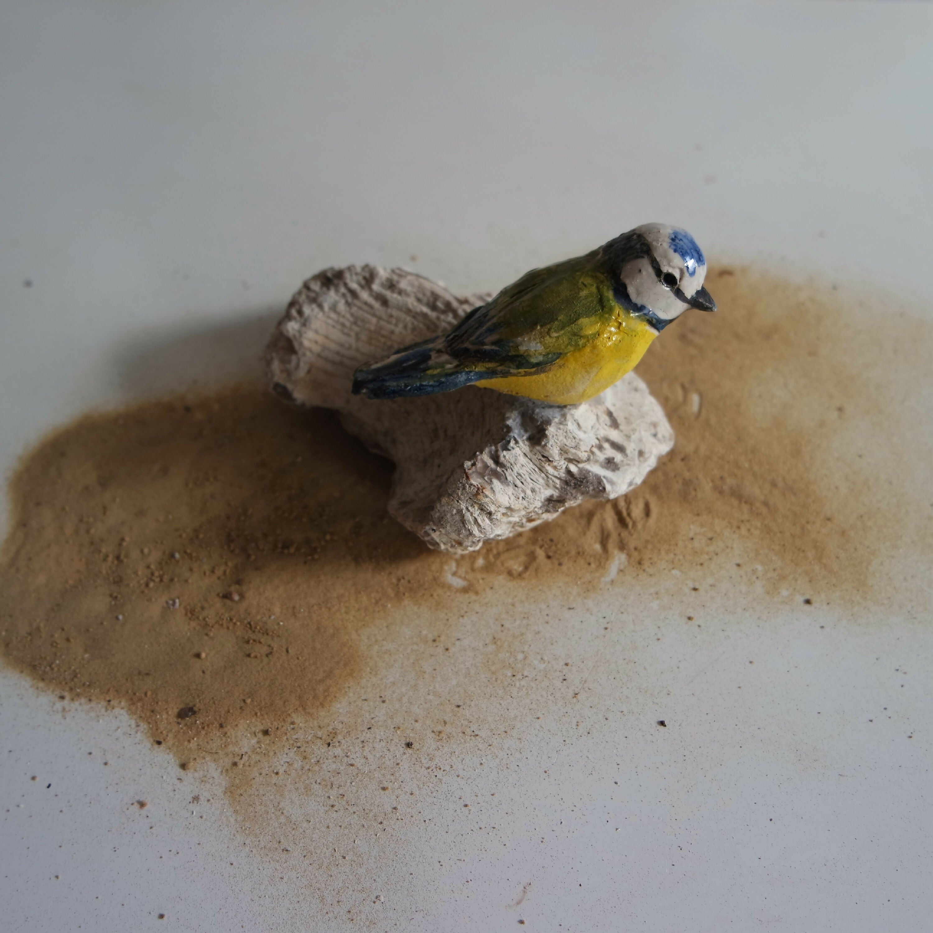 Sculpture Mésange bleue sur pierre fossile | EMPREINTES Paris