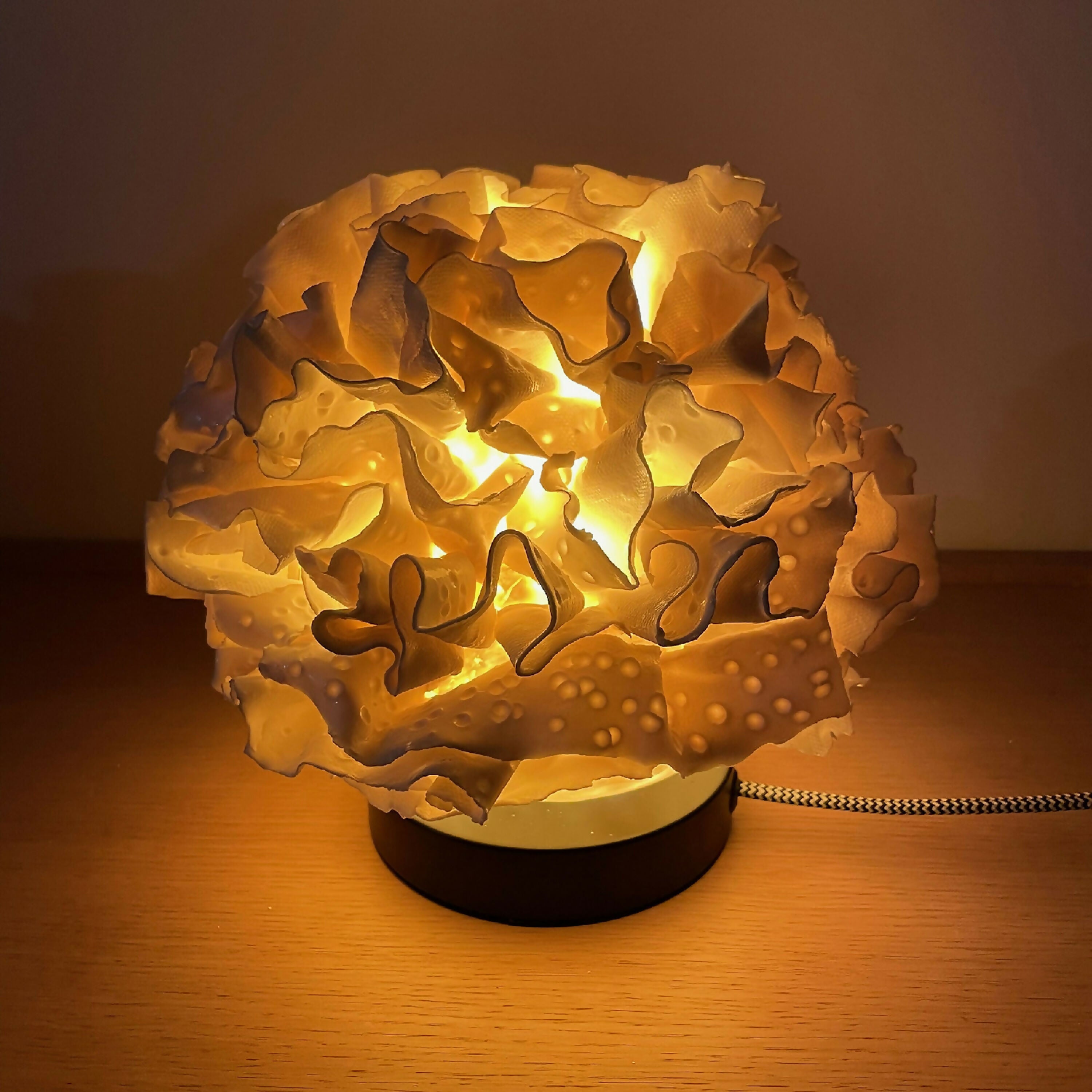 Lampe Sculpture Coralia 1 | EMPREINTES Paris