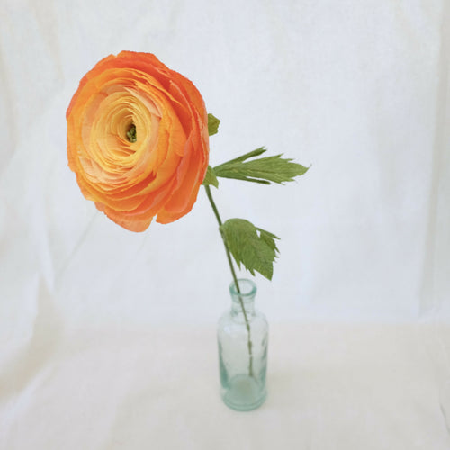 hqNr88FtUw | EMPREINTES Paris - EMPREINTES Paris