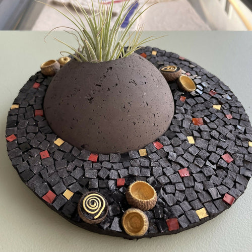 tableau_vegetal_mosaique_noir_dore_tillandsia_cupules_de_glands_musea_mosaique copie | EMPREINTES Paris - EMPREINTES Paris