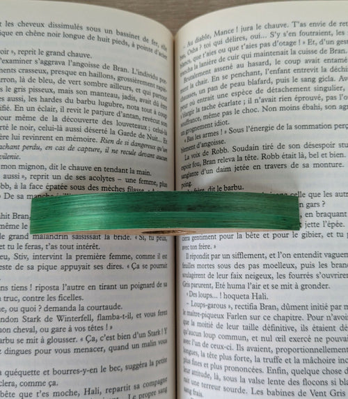 Bague de lecture avec Marqueterie de Paille Verte | EMPREINTES Paris - EMPREINTES Paris