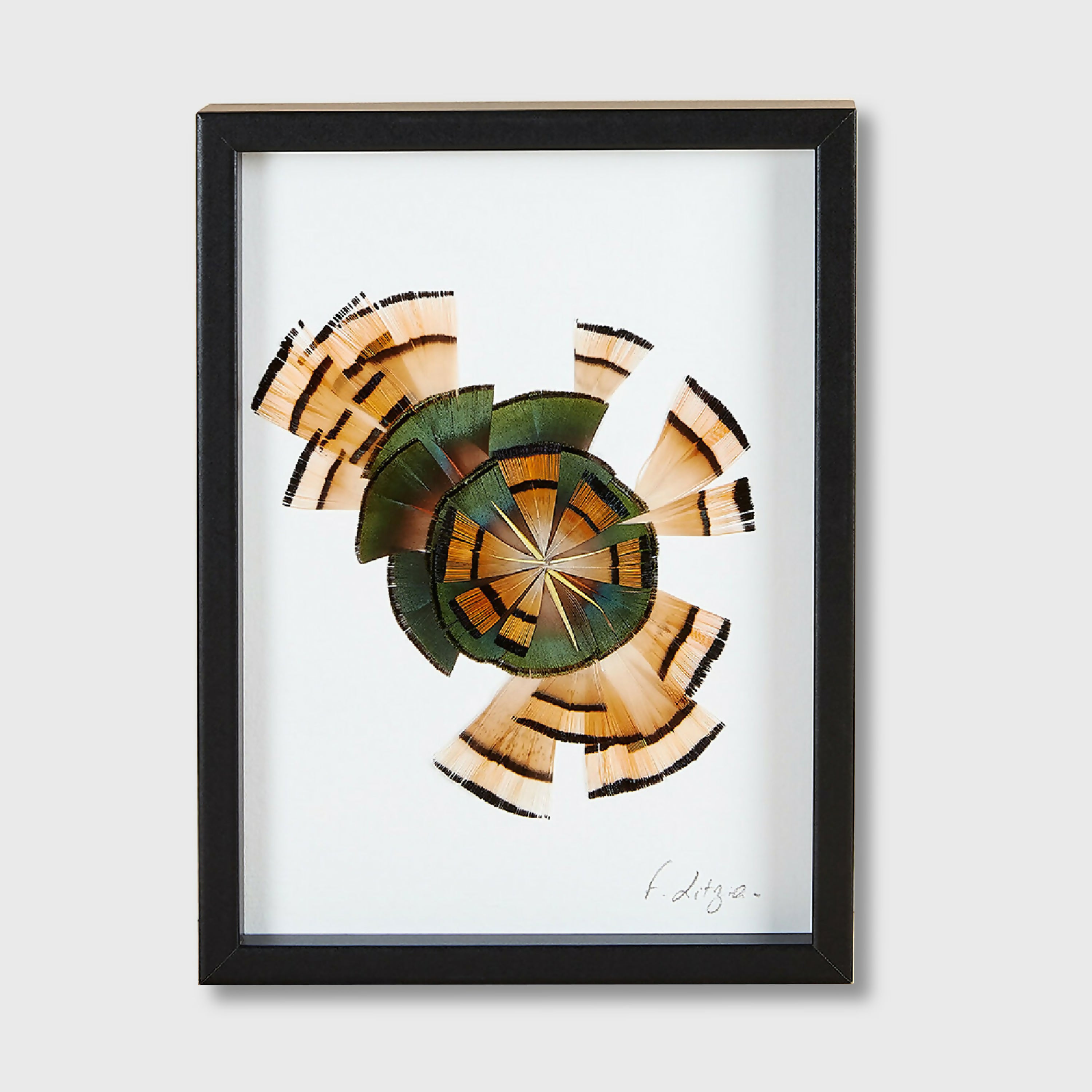 composition_sonar_fanny_litzia copie | EMPREINTES Paris