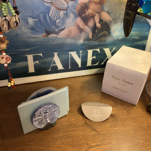 porte carte bleu, libellule art décoratif, cadeau decoration bleu, collection insecte, article de bureau, cadeau pour homme, piece unique createur, made in France | EMPREINTES Paris - EMPREINTES Paris