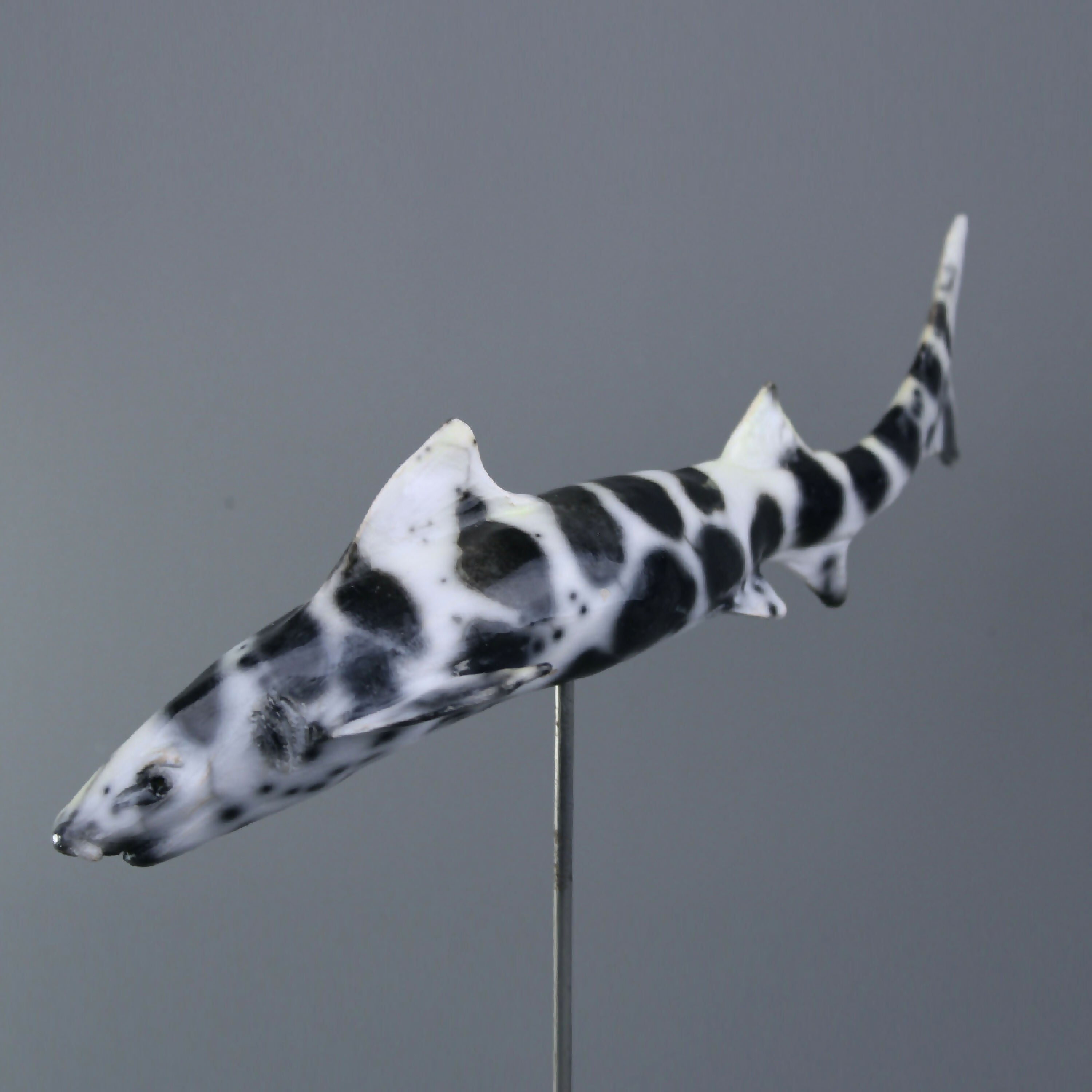 sculpture_requin_leopard_en_raku_nu_sara_grace_wevill copie | EMPREINTES Paris