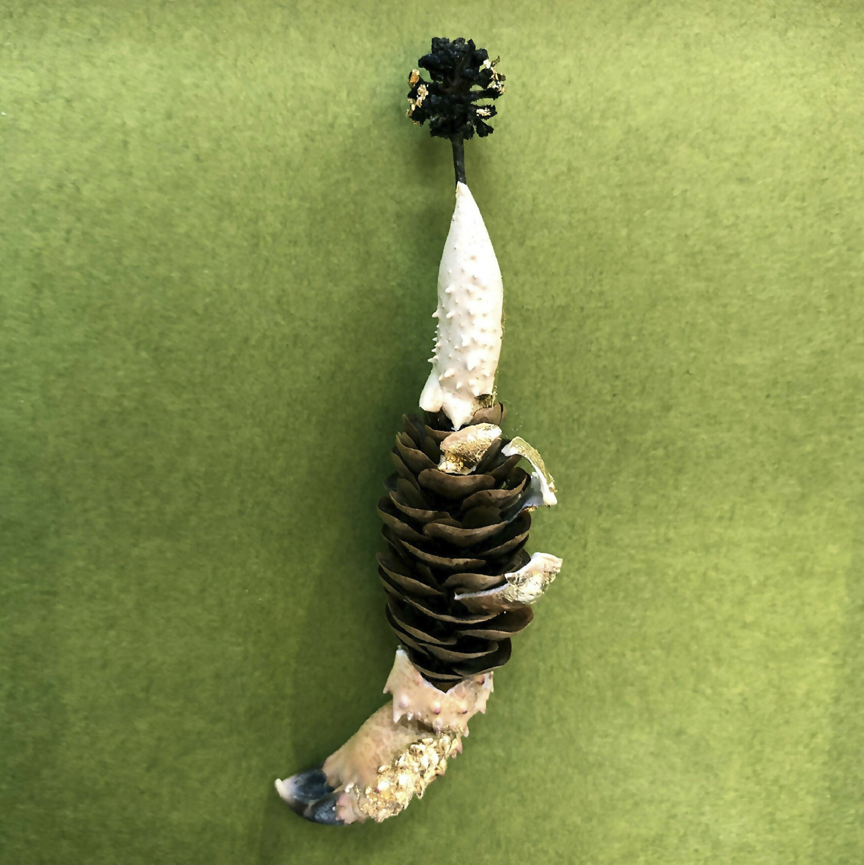 Composition Pomme de pince | EMPREINTES Paris