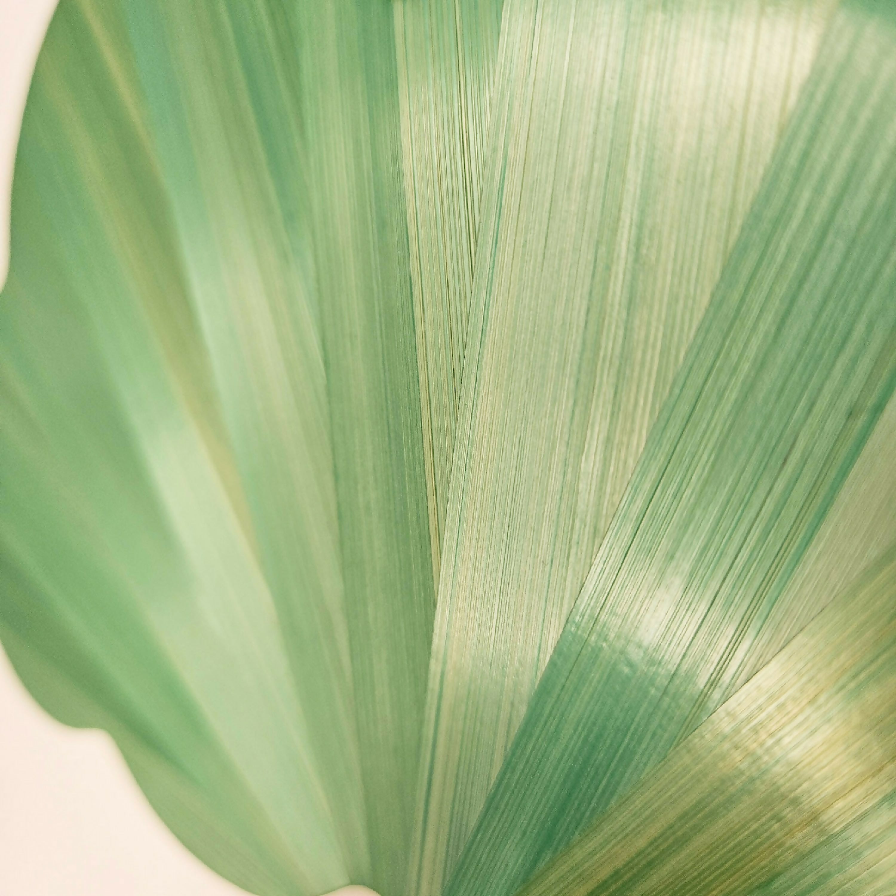 serie_pop_nuage_motif_soleil_vert_menthol_hop_studio | EMPREINTES Paris