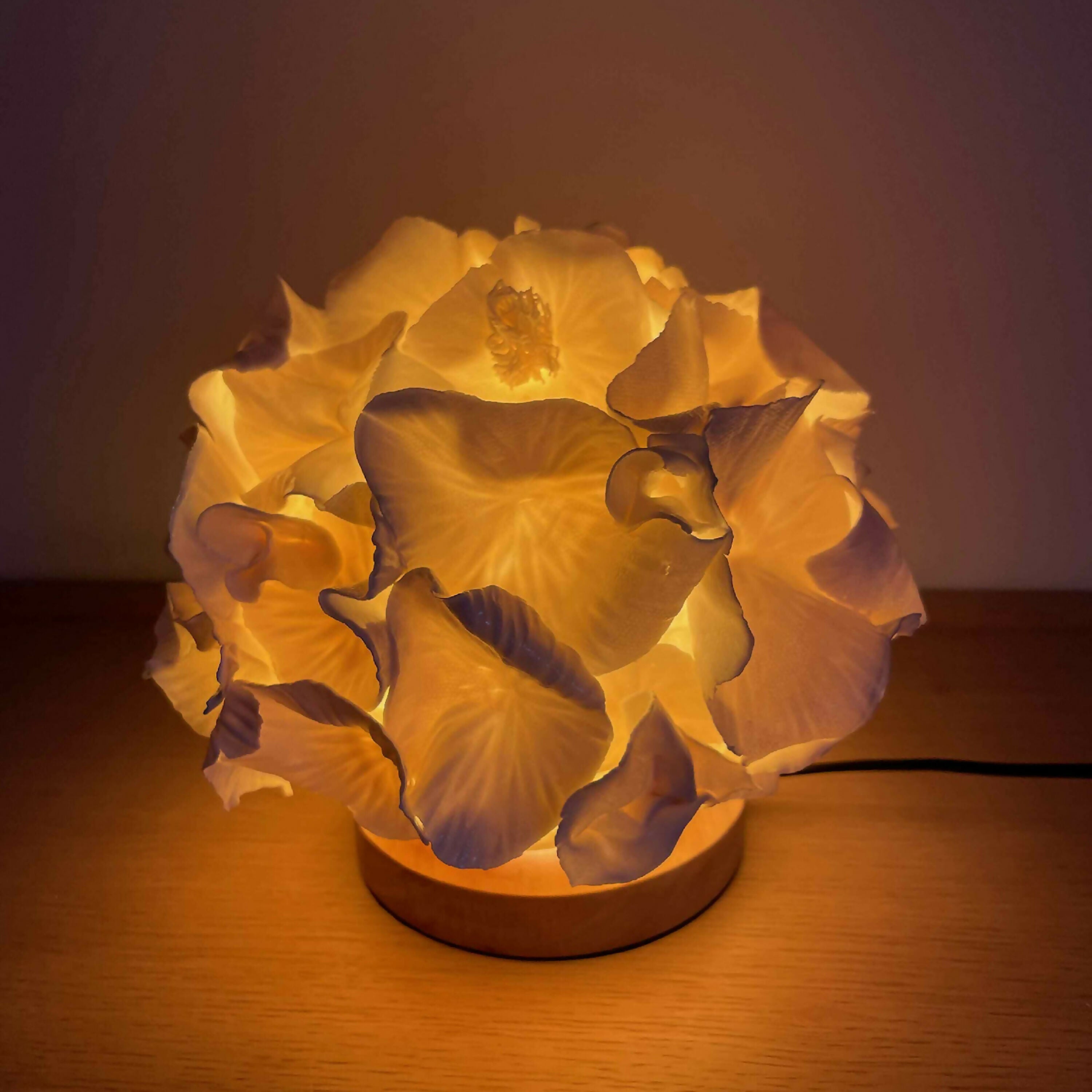 Lampe Sculpture Anthéa 4 | EMPREINTES Paris