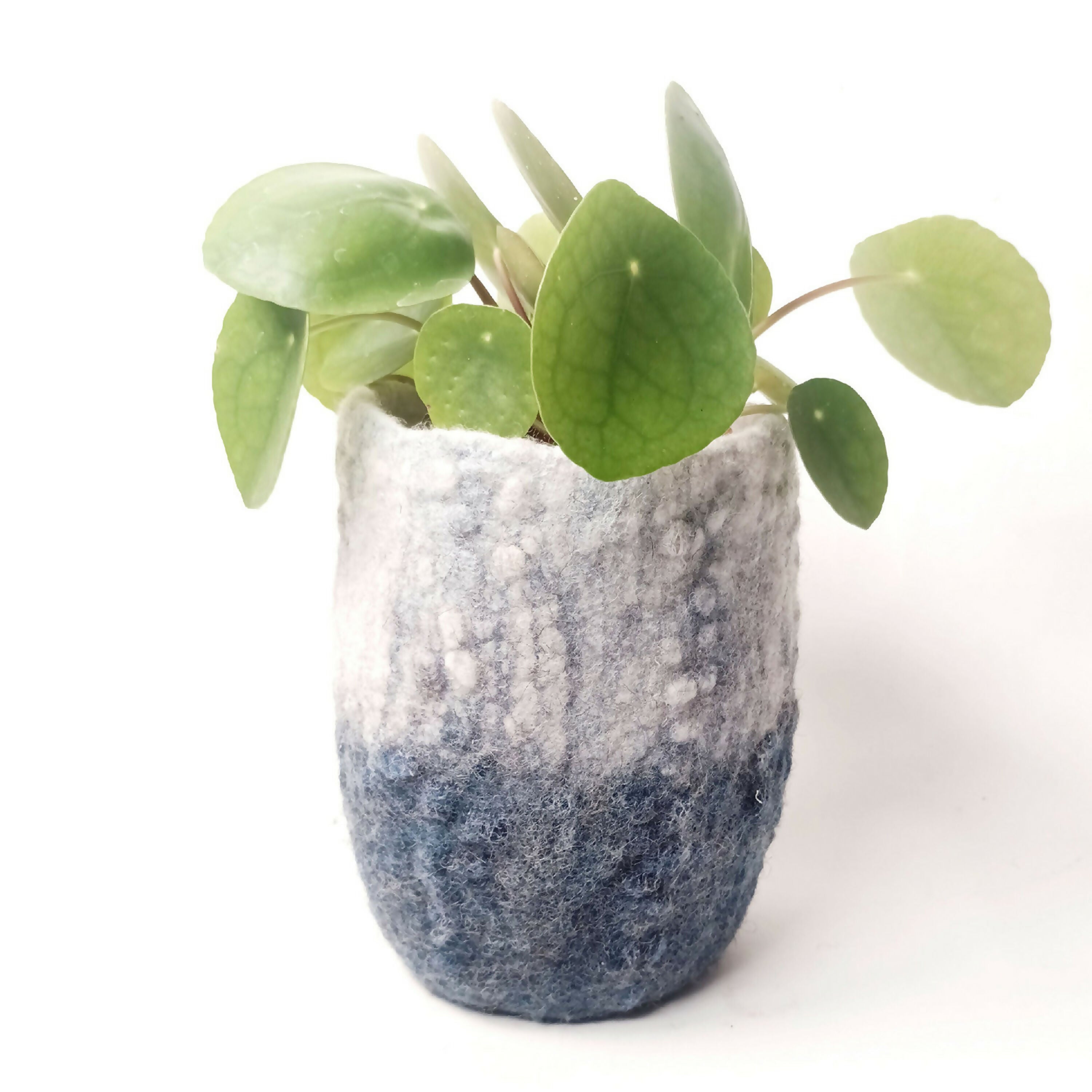 Product Image-0 | EMPREINTES Paris