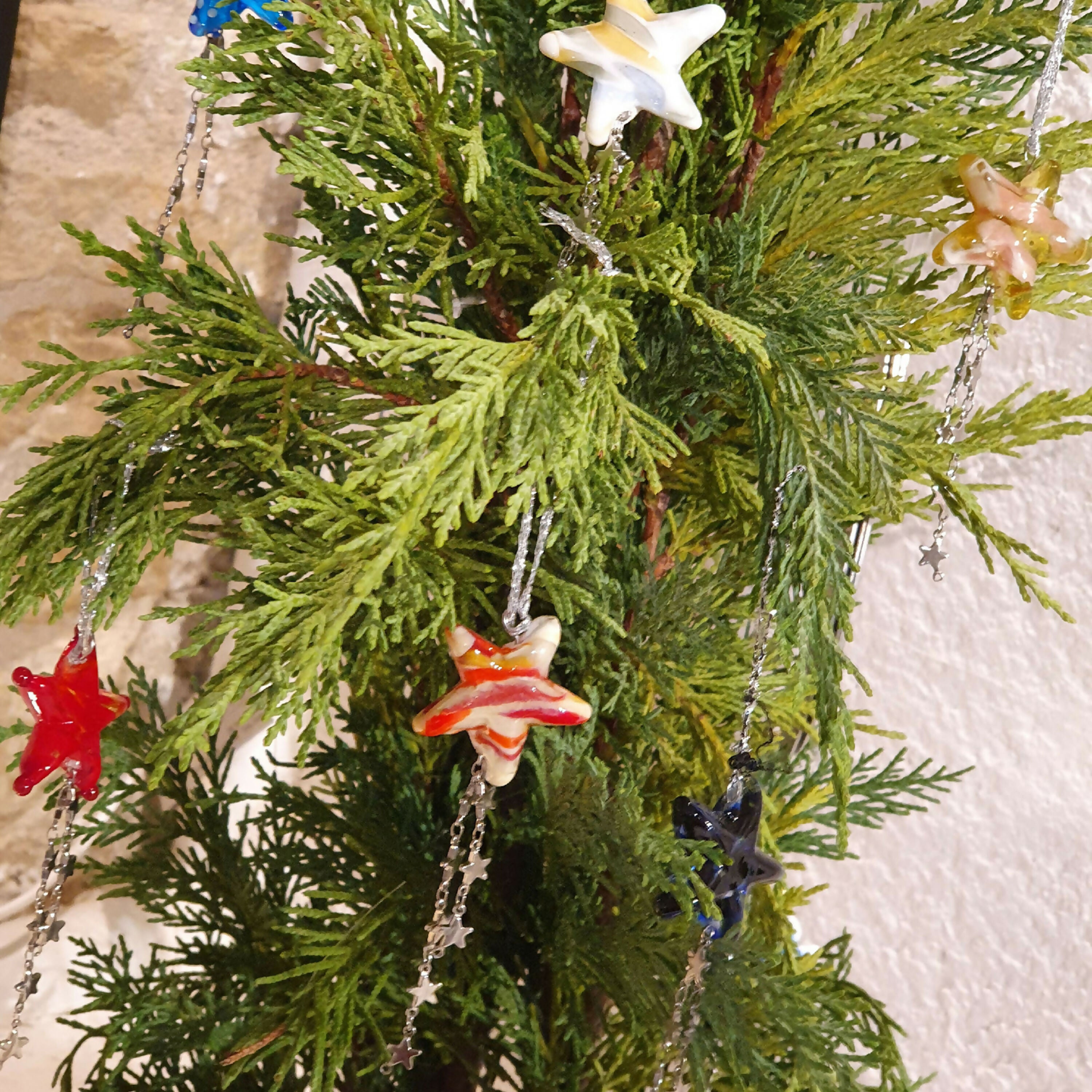 Étoile filante de Noël | EMPREINTES Paris