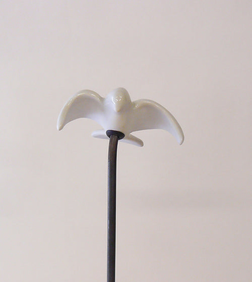 Colombe brillante | EMPREINTES Paris - EMPREINTES Paris