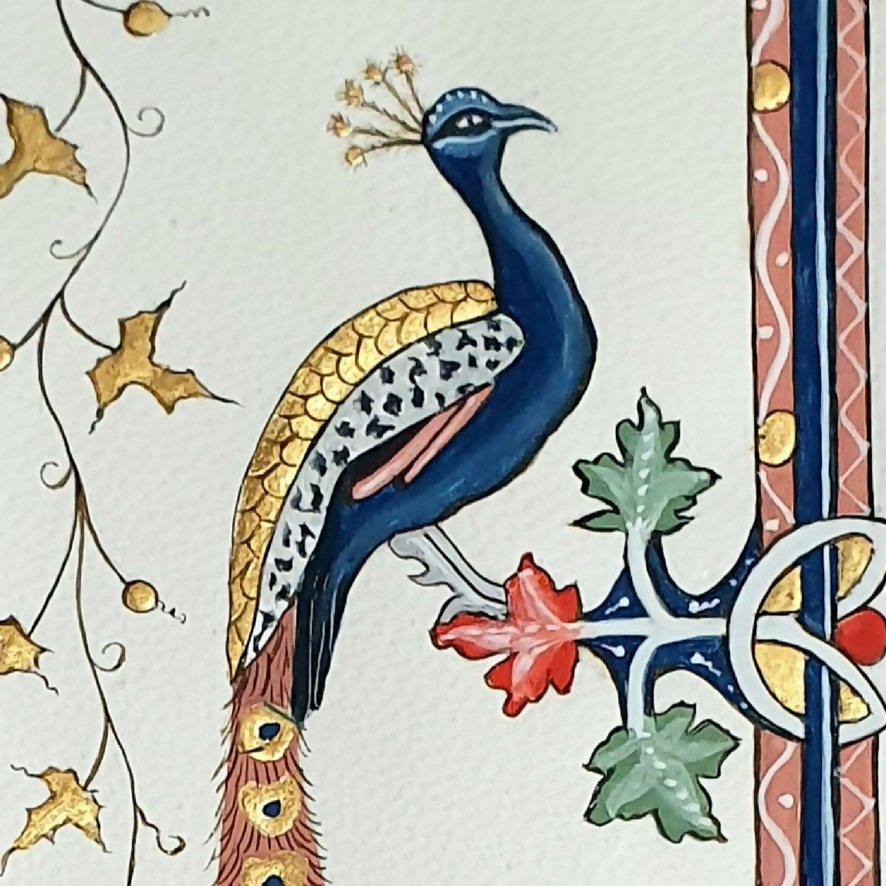 Enluminure paon perché 2 | EMPREINTES Paris