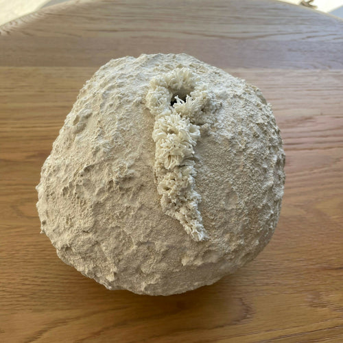 Sculpture Palingensia | EMPREINTES Paris - EMPREINTES Paris