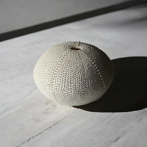 photophore_ousin_en_porcelaine_cglabsete copie | EMPREINTES Paris - EMPREINTES Paris