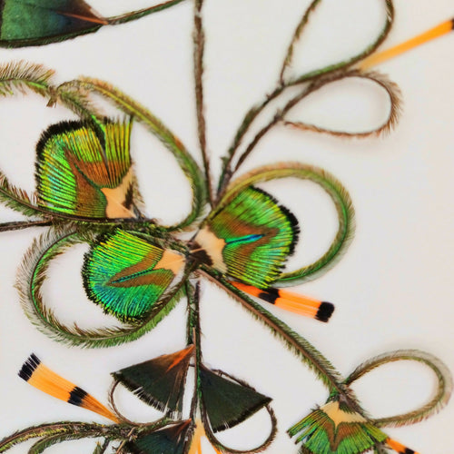 composition_petit_paon_fanny_litzia copie | EMPREINTES Paris - EMPREINTES Paris