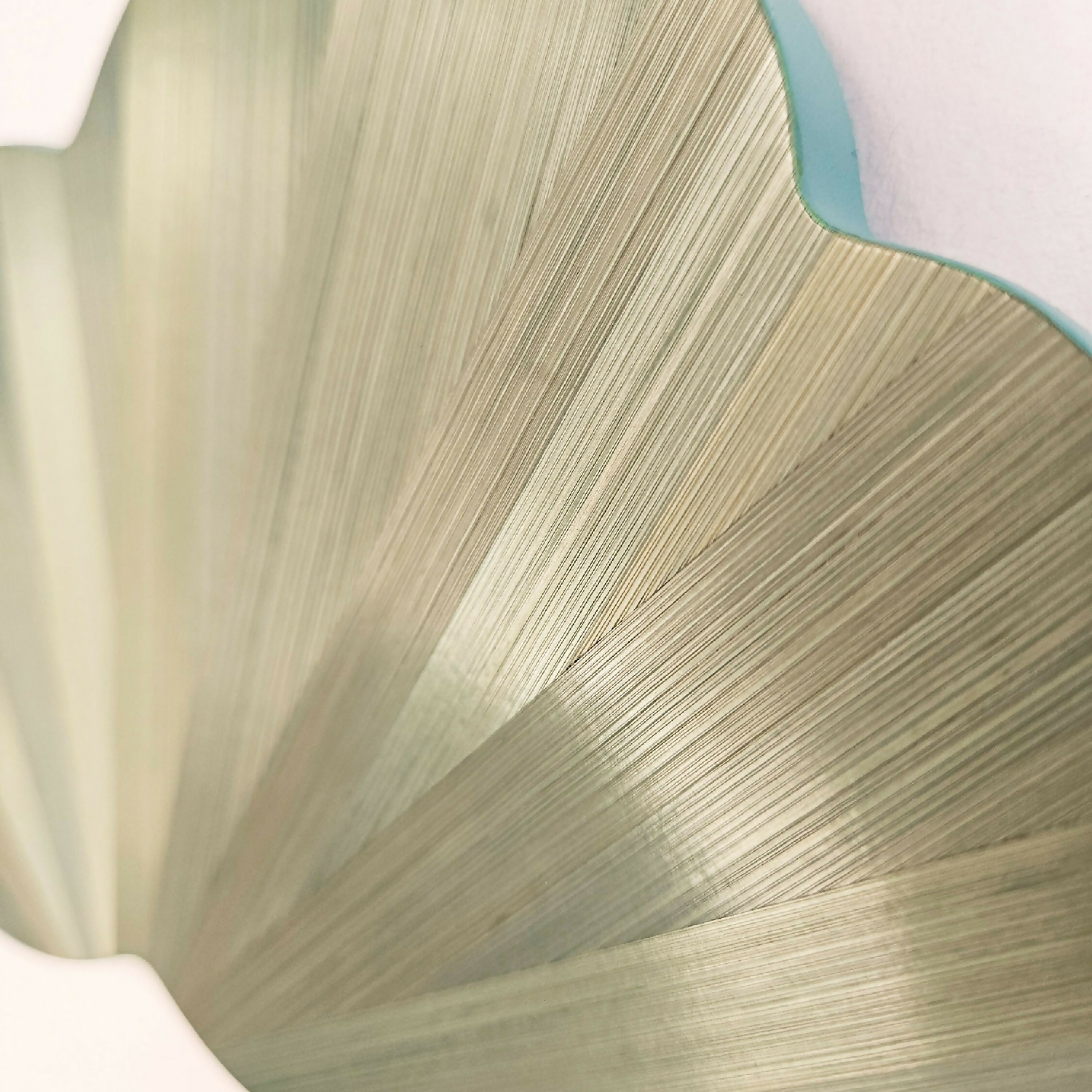 serie_pop_nuage_motif_soleil_vert_sauge_hop_studio | EMPREINTES Paris