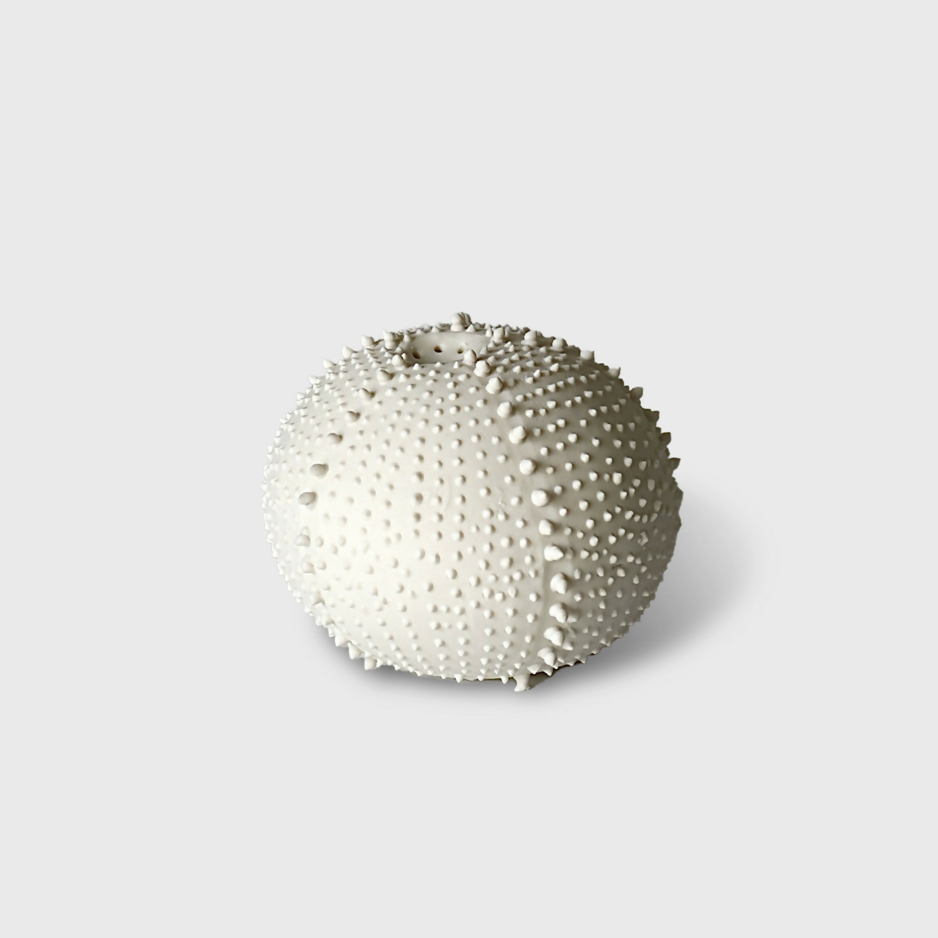 saliere_porcelaine_blanche_oursin_cglabsete copie | EMPREINTES Paris