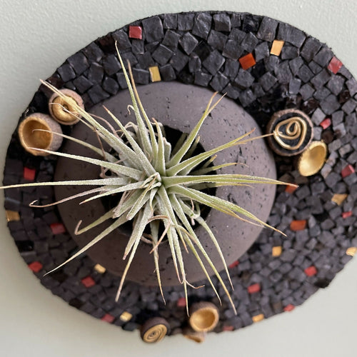 tableau_vegetal_mosaique_noir_dore_tillandsia_cupules_de_glands_musea_mosaique copie | EMPREINTES Paris - EMPREINTES Paris