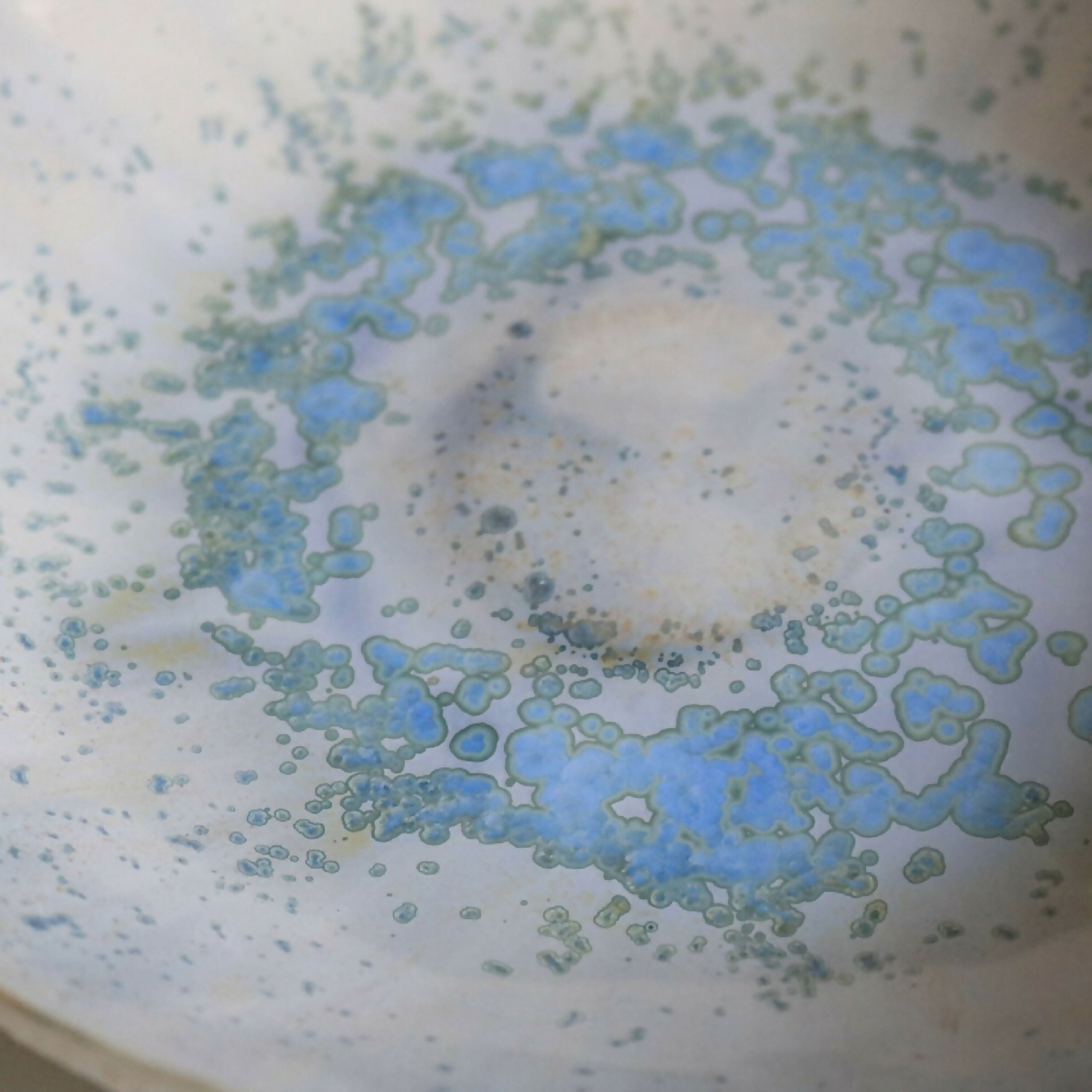 Assiette en porcelaine | EMPREINTES Paris