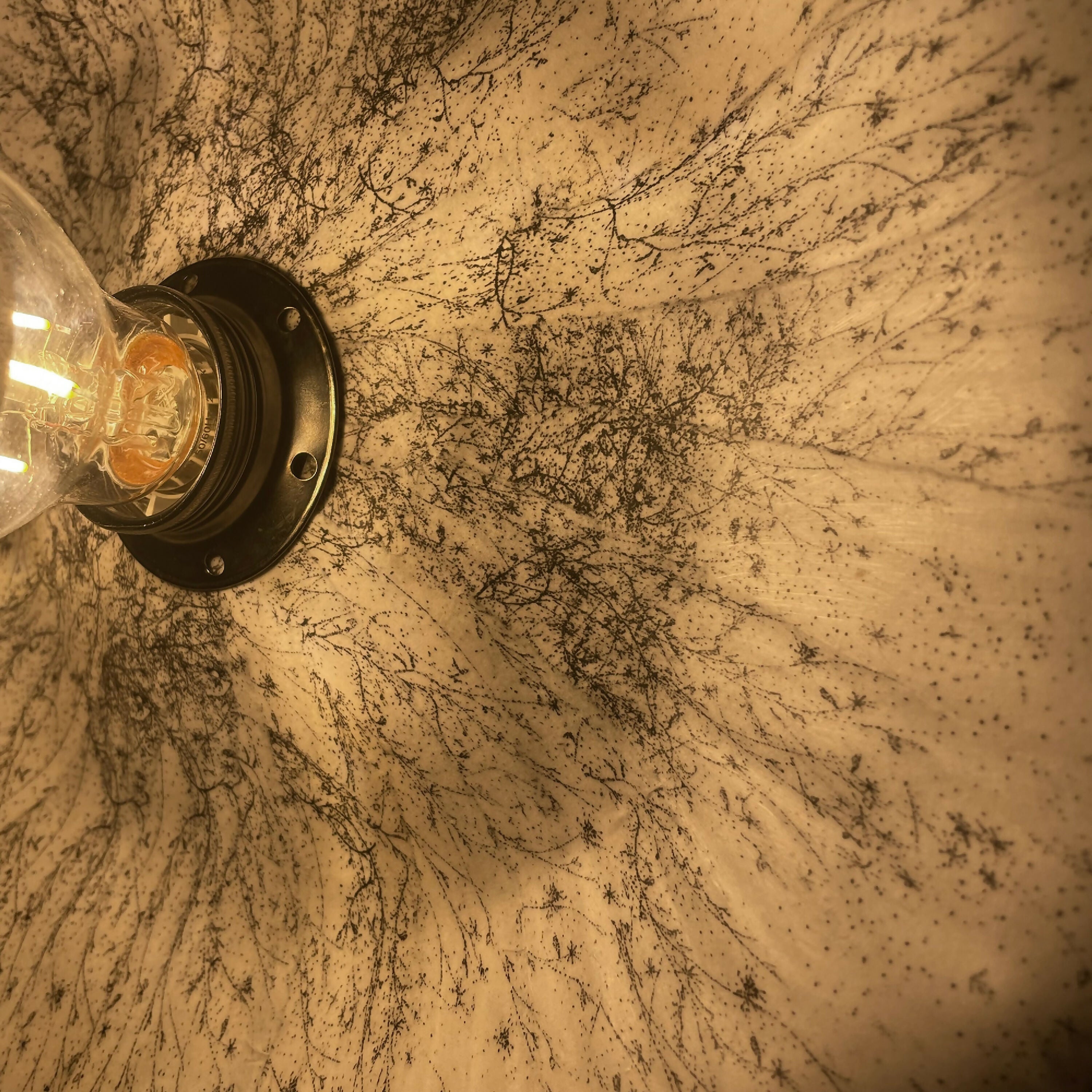 Applique fleur-dessin Graminées | EMPREINTES Paris