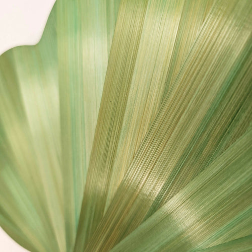 serie_pop_nuage_motif_soleil_vert_pomme_hop_studio | EMPREINTES Paris - EMPREINTES Paris