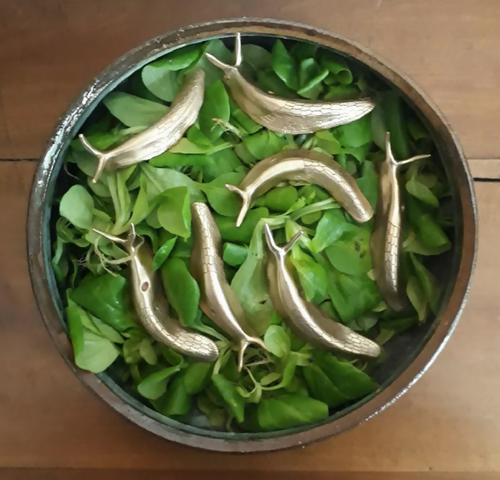 Sculpture Limace en bronze (petit modèle) | EMPREINTES Paris - EMPREINTES Paris