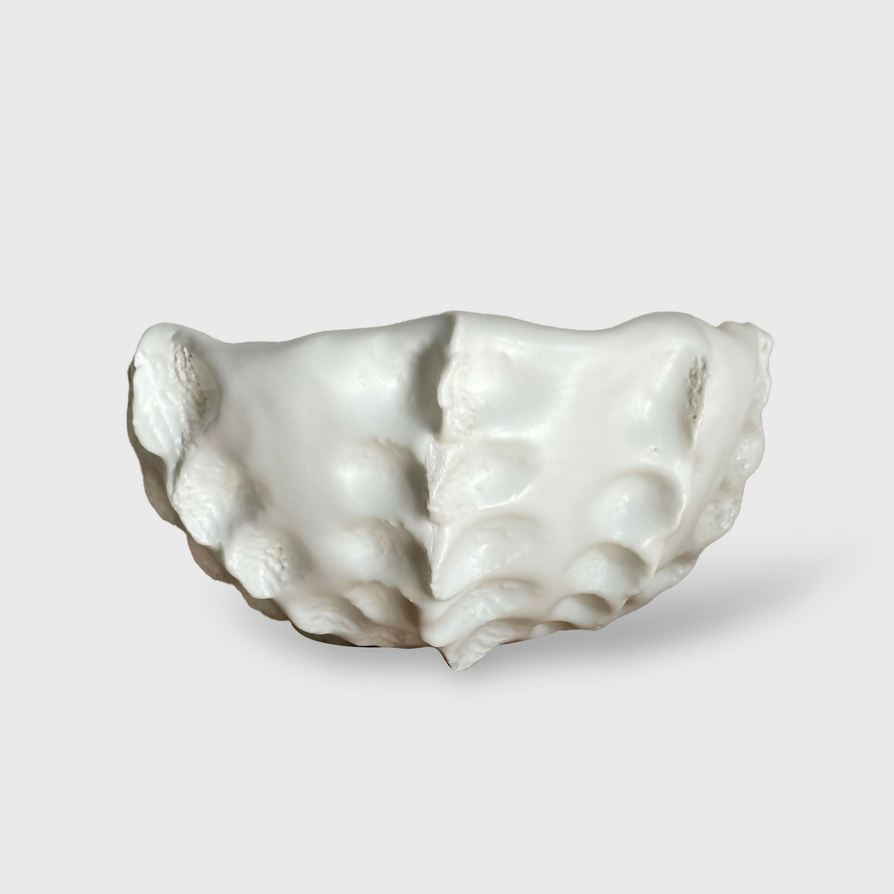 coupe_octopus_anne_sophie_boulogne copie | EMPREINTES Paris