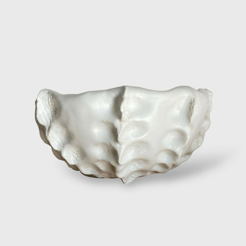 coupe_octopus_anne_sophie_boulogne copie | EMPREINTES Paris - EMPREINTES Paris