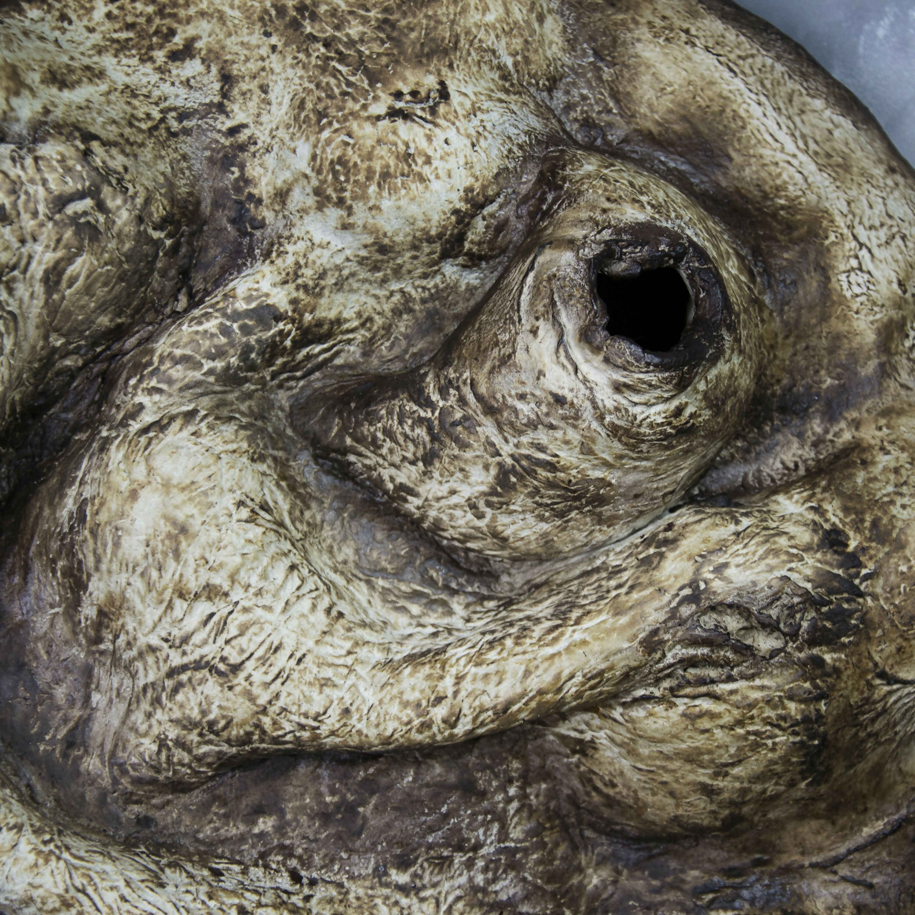 decor_mural_magma_fremis_s_kif_studio copie | EMPREINTES Paris