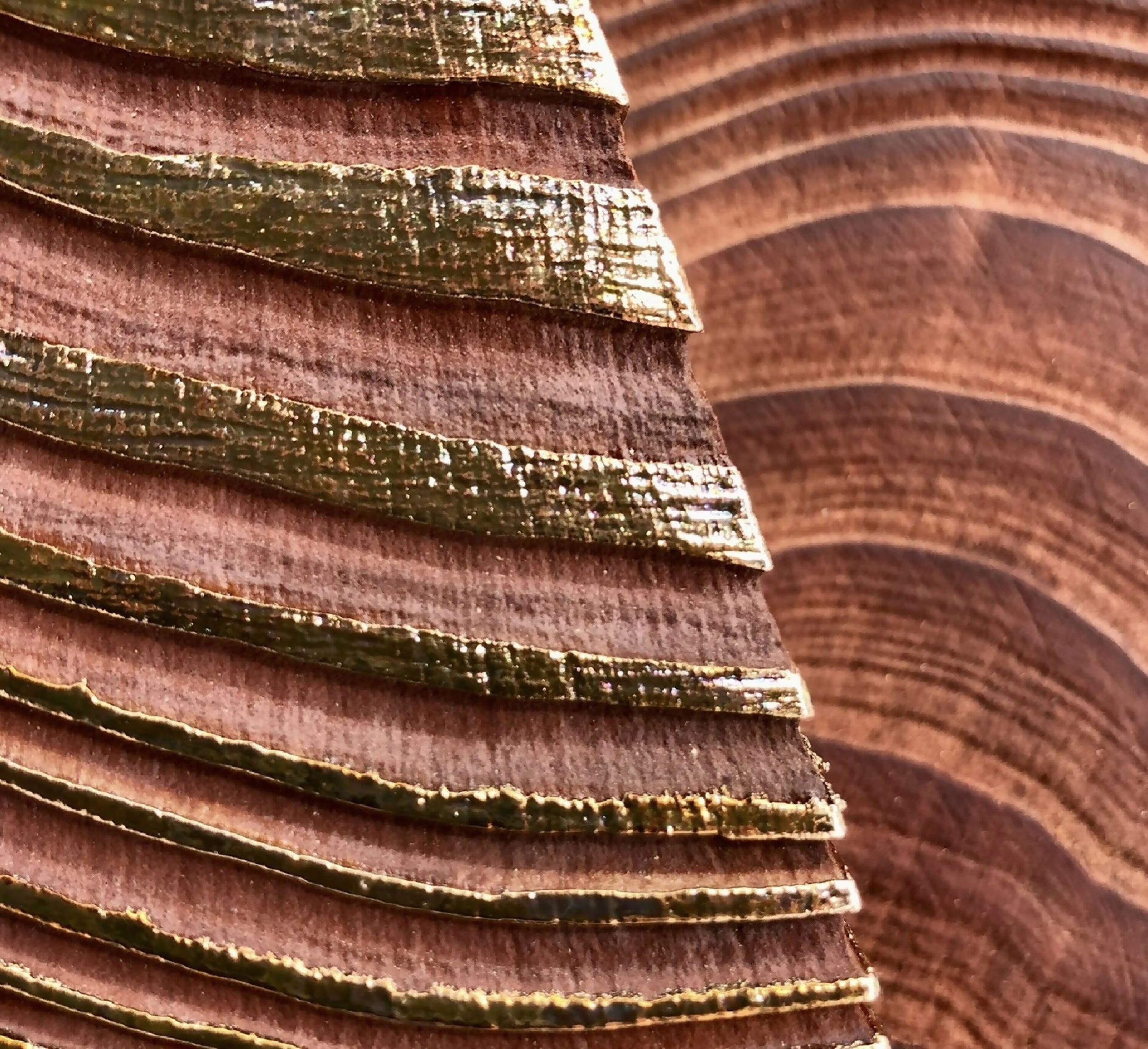 sculpture_erosion_19_anne_ghez copie | EMPREINTES Paris