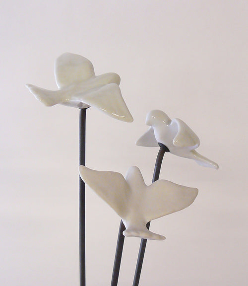 Colombe brillante | EMPREINTES Paris - EMPREINTES Paris