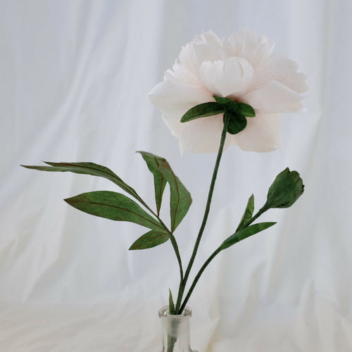 Pivoine blanche en papier | EMPREINTES Paris - EMPREINTES Paris