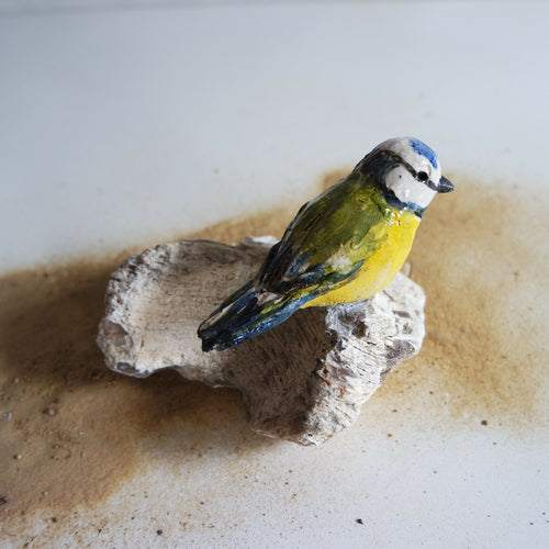 Sculpture Mésange bleue sur pierre fossile | EMPREINTES Paris - EMPREINTES Paris