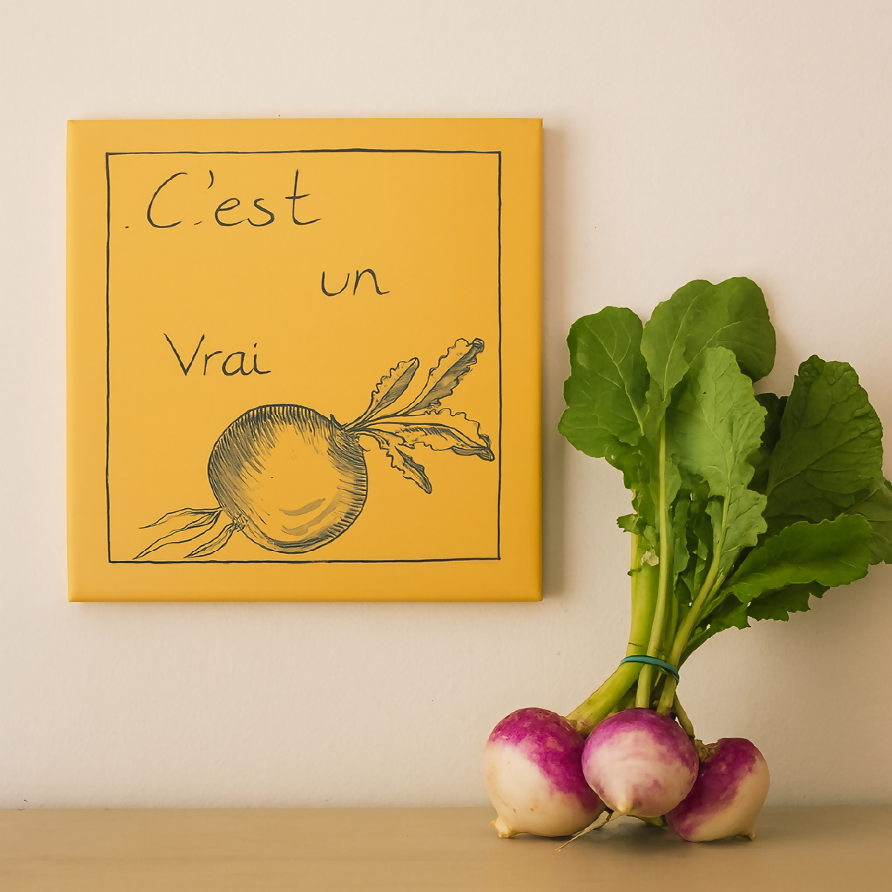 Carreau Illustré NAVET | EMPREINTES Paris