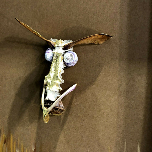 composition_osselets_creaturquoise copie | EMPREINTES Paris - EMPREINTES Paris