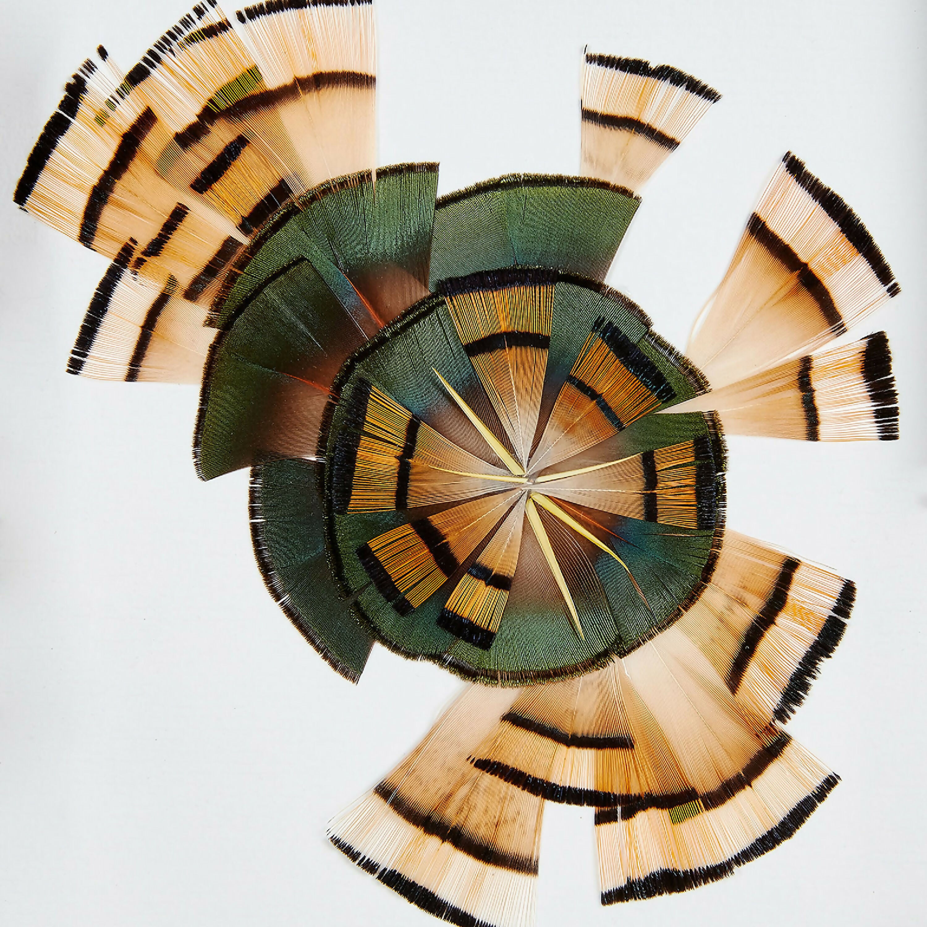 composition_sonar_fanny_litzia copie | EMPREINTES Paris