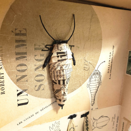 Sculpture papier Petit cabinet de curiosité | EMPREINTES Paris - EMPREINTES Paris