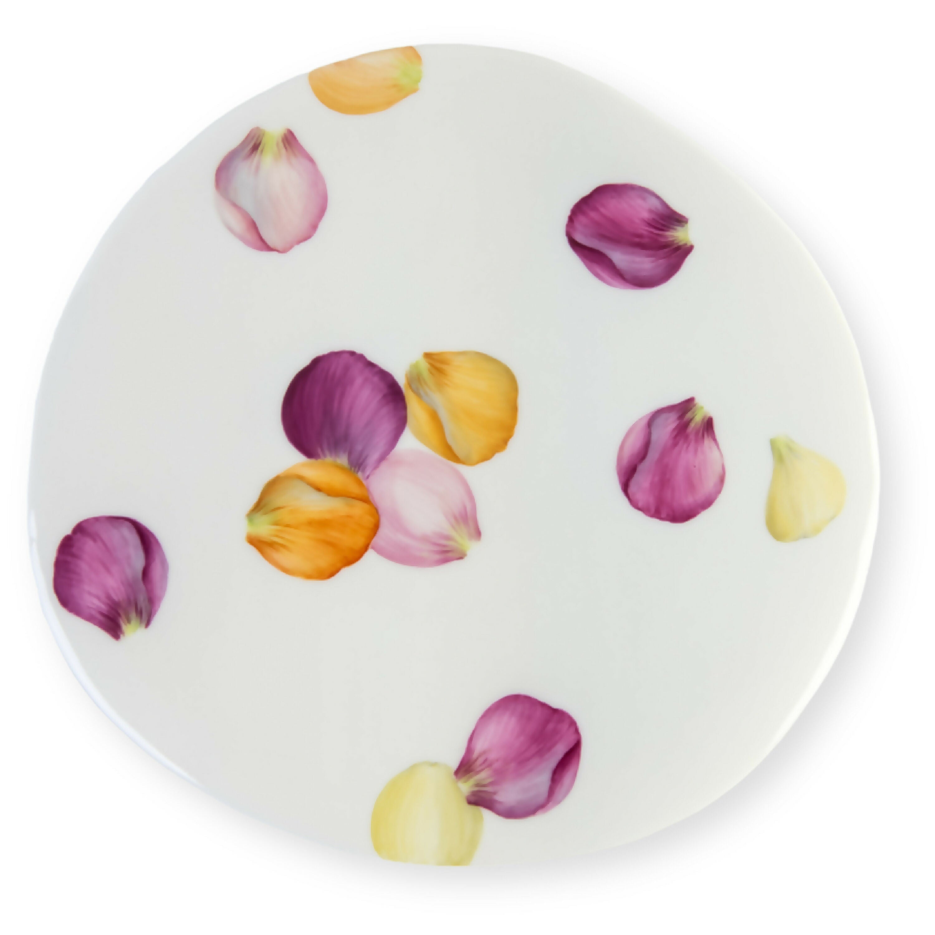 decoration_murale_petales_de_roses_6_pieces_kaori_nakamatsu copie | EMPREINTES Paris