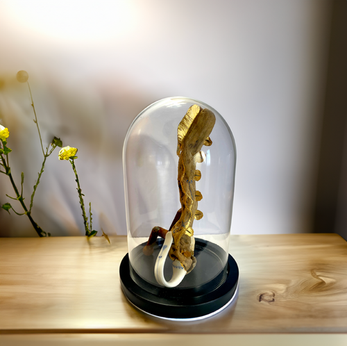 composition_trepied_creaturquoise copie | EMPREINTES Paris - EMPREINTES Paris