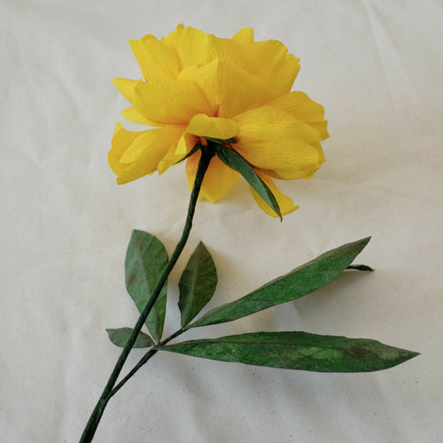 hqNr88FtUw | EMPREINTES Paris - EMPREINTES Paris