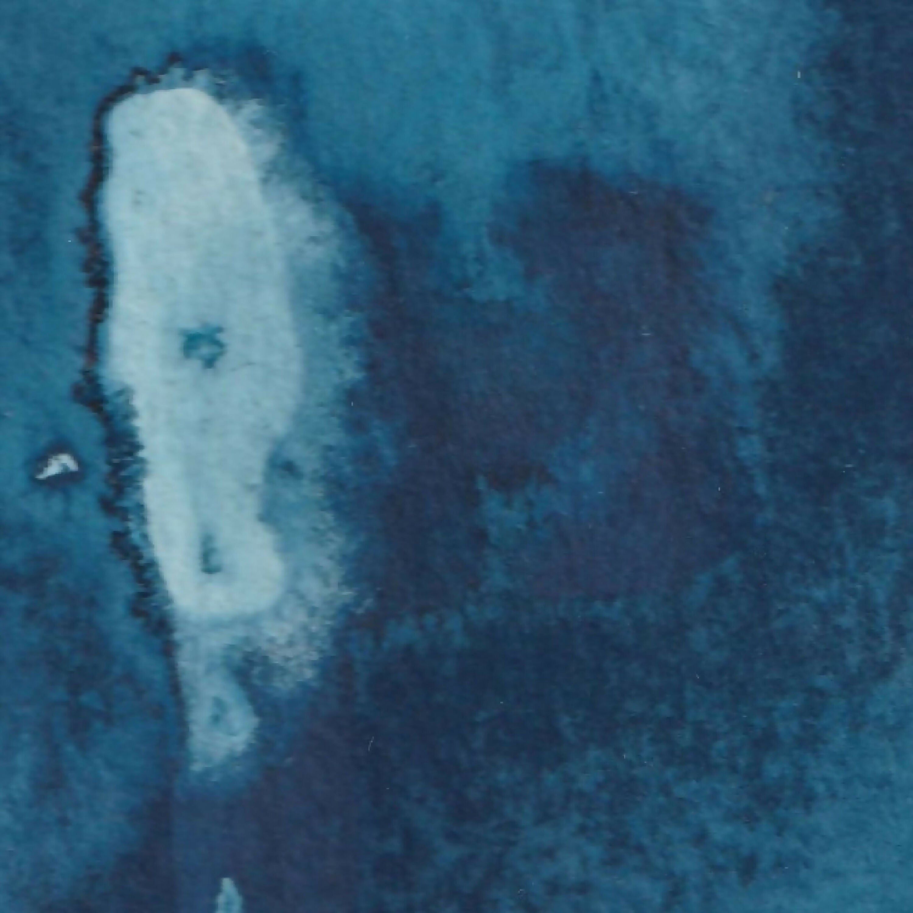 Cyanotype III encadré A4 pièce unique | EMPREINTES Paris