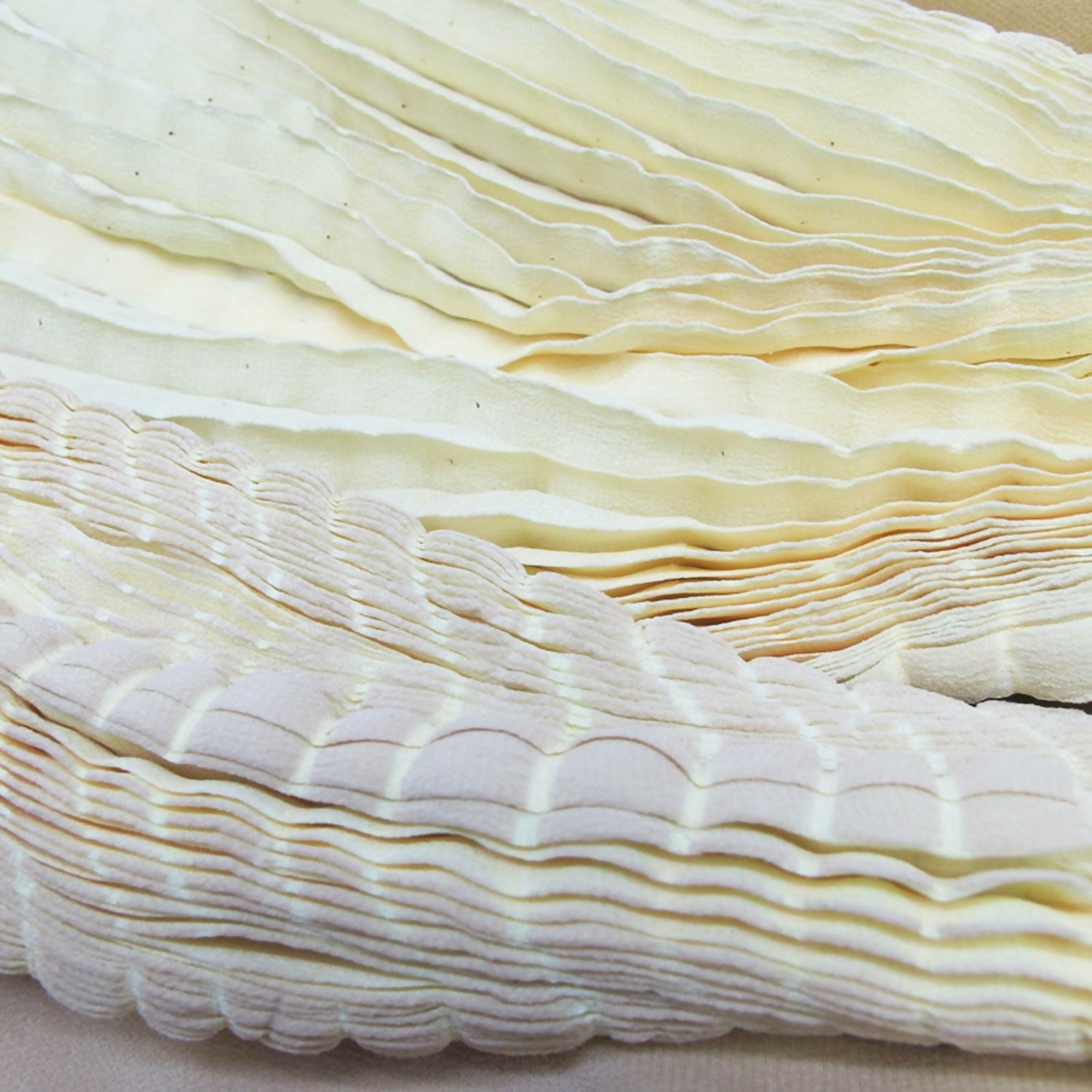 Écharpe Plissée Longue Crêpe de Soie PLICACREPE 015 | EMPREINTES Paris