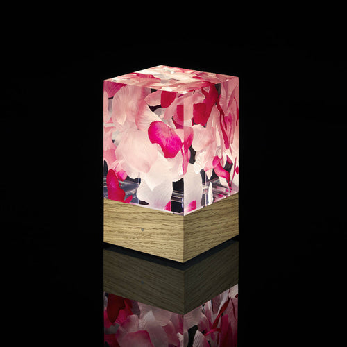 D-cüb Roses - socle blanc | EMPREINTES Paris - EMPREINTES Paris