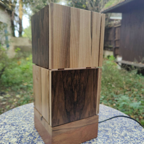 Lampe d'ambiance Bois Ebéniste Dupetit Thouars 3 | EMPREINTES Paris - EMPREINTES Paris