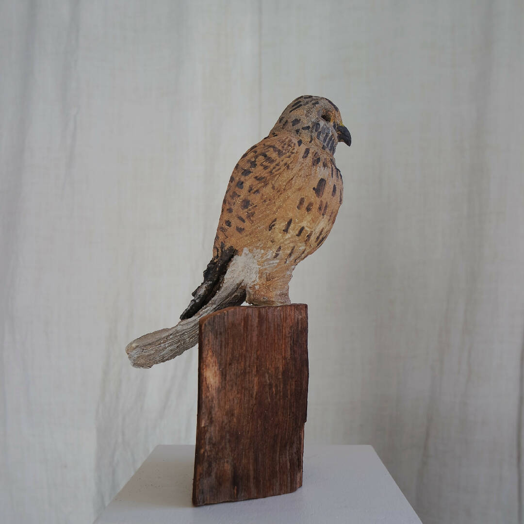 Sculpture Faucon crécerelle sur cyprès | EMPREINTES Paris