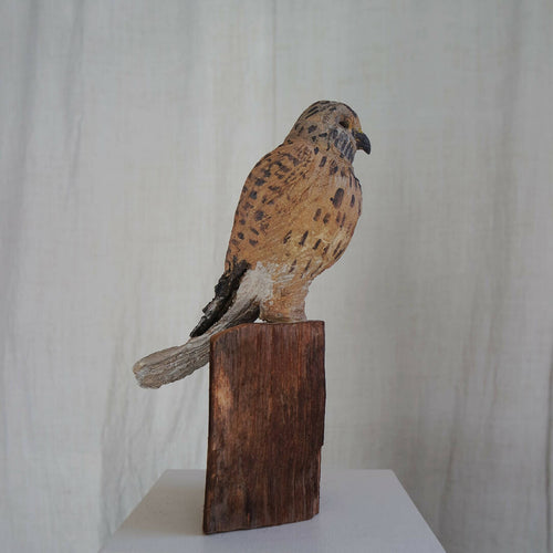 Sculpture Faucon crécerelle sur cyprès | EMPREINTES Paris - EMPREINTES Paris