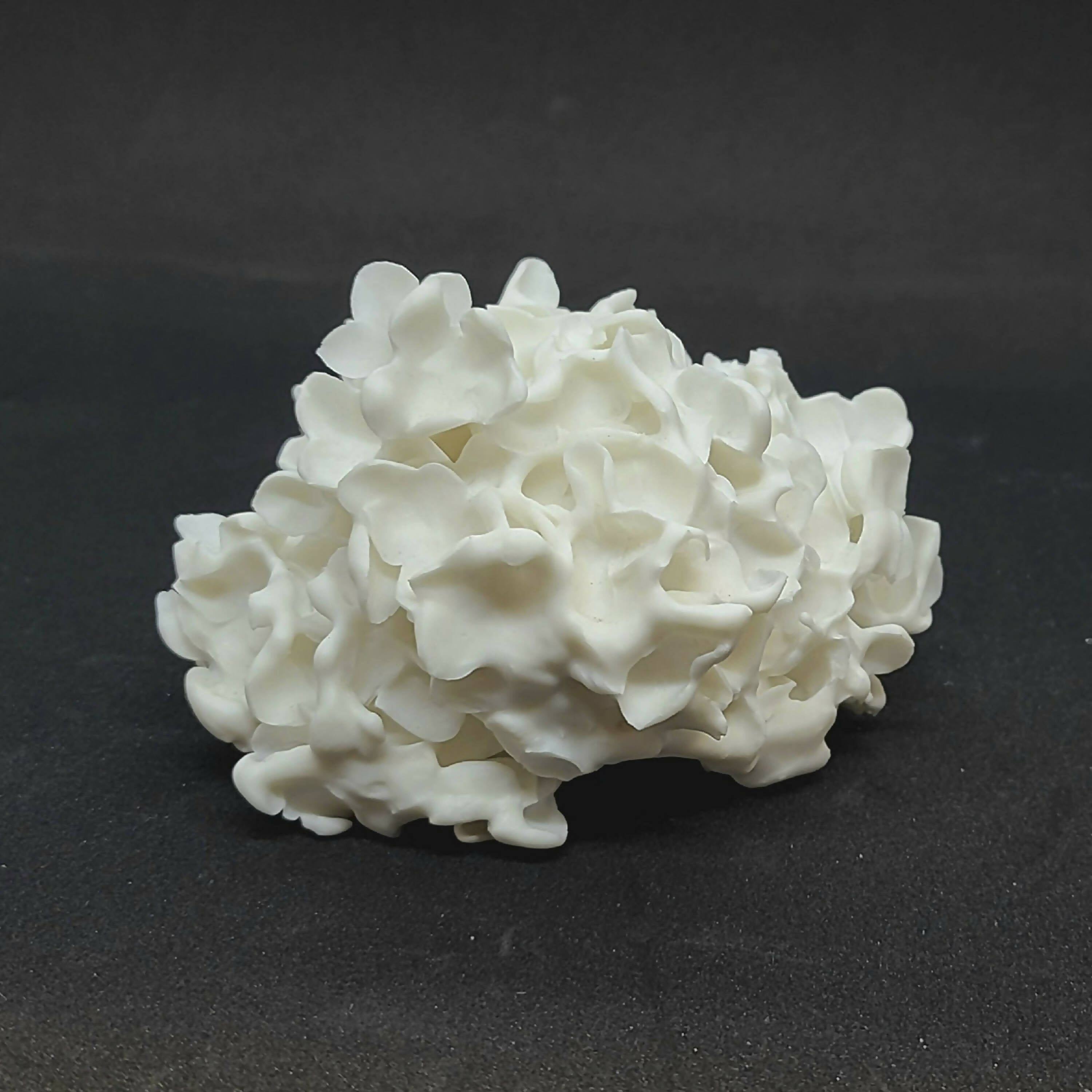 Sculpture porcelaine hortensia | EMPREINTES Paris | EMPREINTES Paris