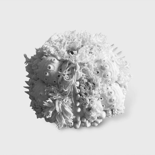 Sculpture Abysse 2 | EMPREINTES Paris - EMPREINTES Paris