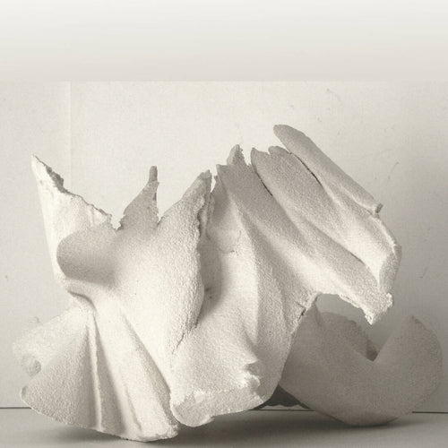 Sculpture PLI-EX-NATURA 4 | EMPREINTES Paris - EMPREINTES Paris