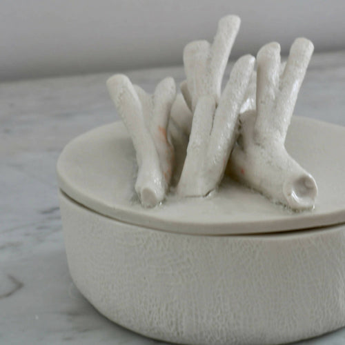 Boîte en porcelaine coraux | EMPREINTES Paris - EMPREINTES Paris